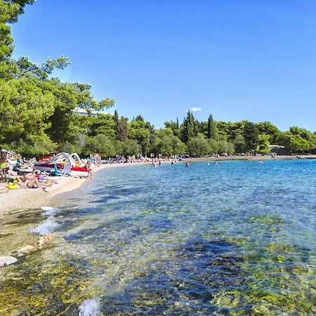 Ljubica Βόντιτσε